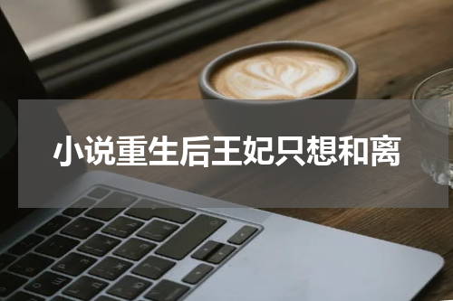 小说重生后王妃只想和离
