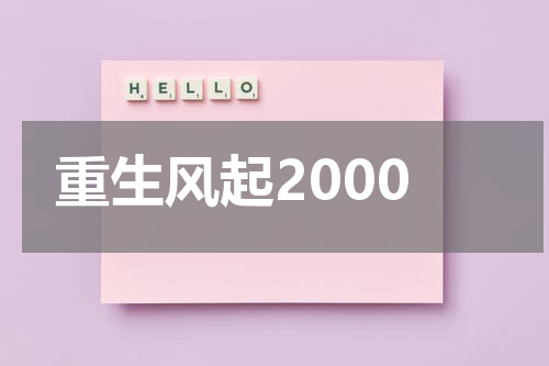 重生风起2000