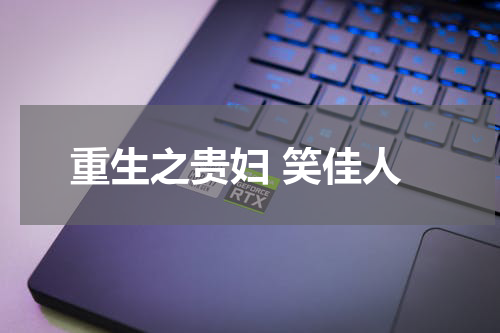 重生之贵妇 笑佳人
