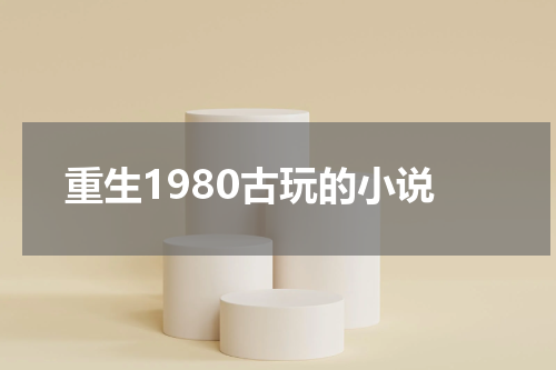 重生1980古玩的小说