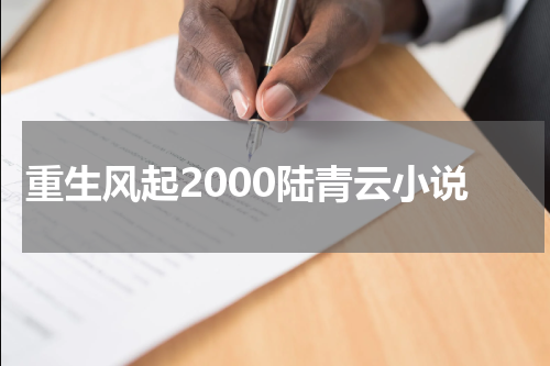 重生风起2000陆青云小说
