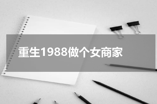 重生1988做个女商家