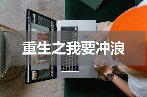重生之我要冲浪