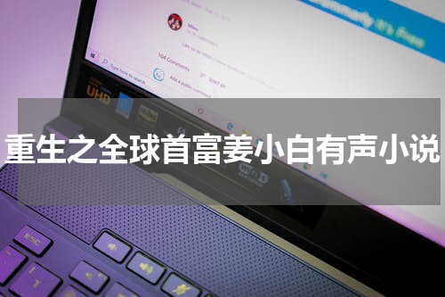 重生之全球首富姜小白有声小说