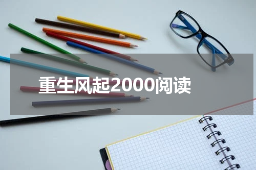 重生风起2000阅读