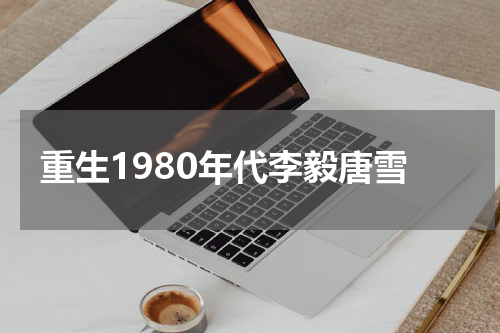 重生1980年代李毅唐雪