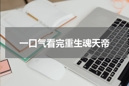 一口气看完重生魂天帝