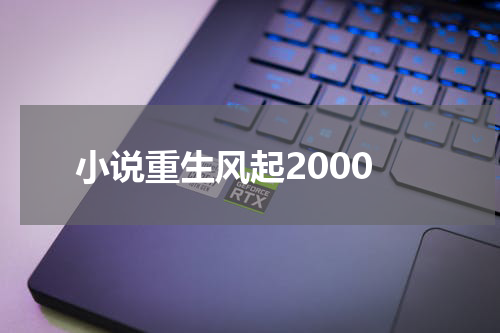 小说重生风起2000