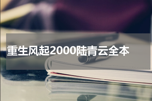 重生风起2000陆青云全本