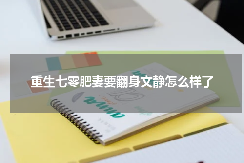 重生七零肥妻要翻身文静怎么样了