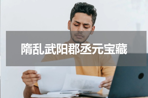 隋乱武阳郡丞元宝藏