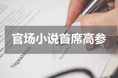 官场小说首席高参