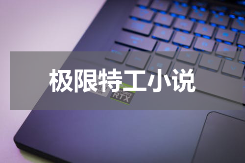 极限特工小说