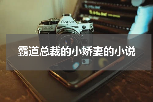 霸道总裁的小娇妻的小说