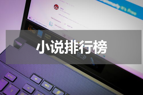 小说排行榜