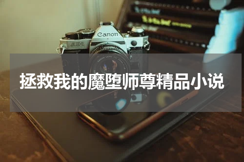 拯救我的魔堕师尊精品小说