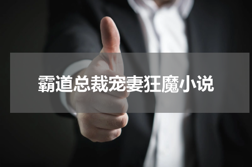 霸道总裁宠妻狂魔小说