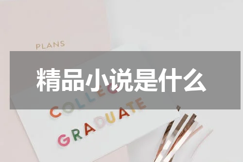精品小说是什么