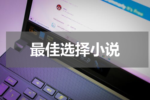 最佳选择小说