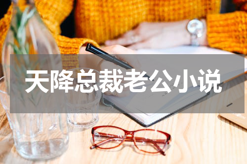 天降总裁老公小说