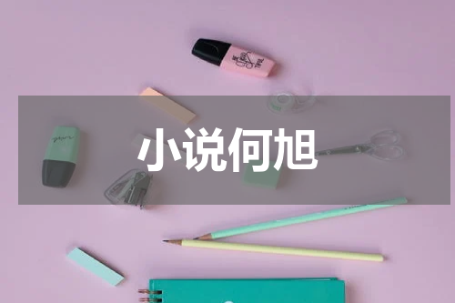 小说何旭