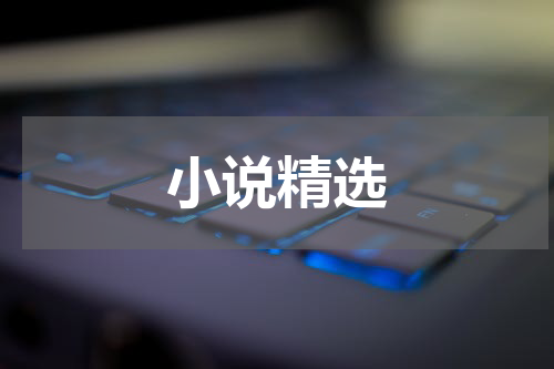 小说精选