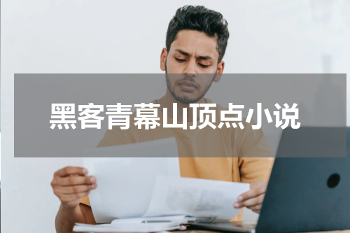 黑客青幕山顶点小说