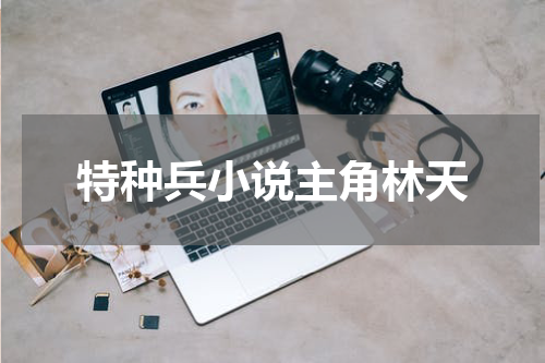 特种兵小说主角林天