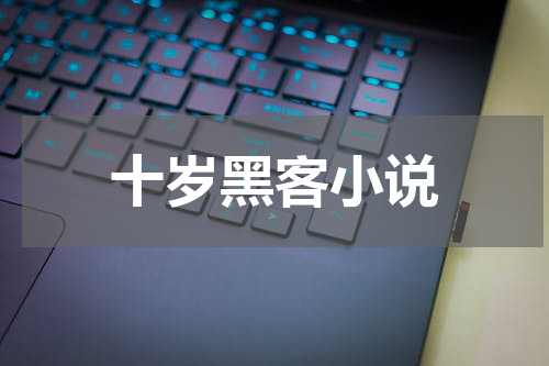 十岁黑客小说