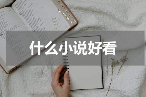 什么小说好看