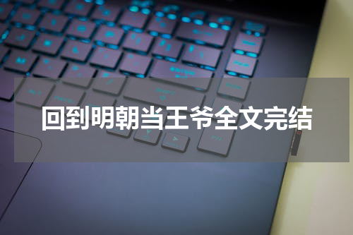回到明朝当王爷全文完结