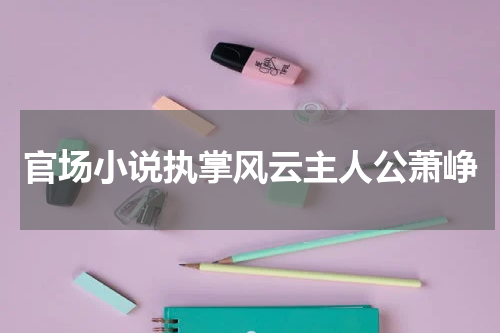 官场小说执掌风云主人公萧峥
