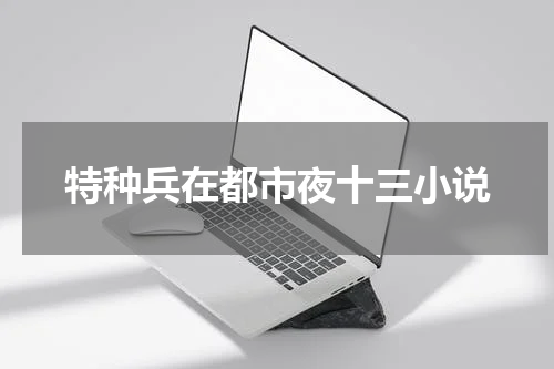 特种兵在都市夜十三小说