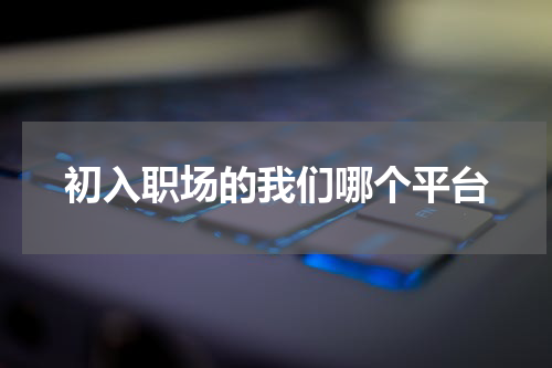 初入职场的我们哪个平台