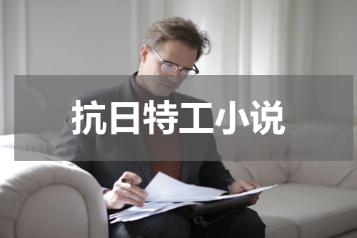抗日特工小说