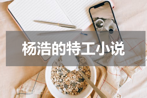 杨浩的特工小说