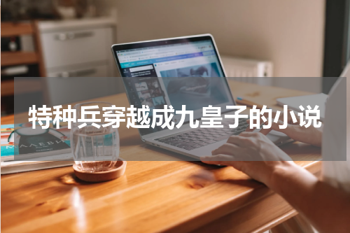 特种兵穿越成九皇子的小说