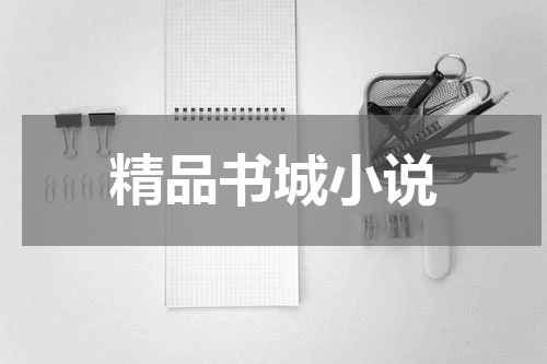 精品书城小说