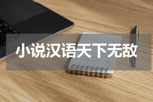 小说汉语天下无敌