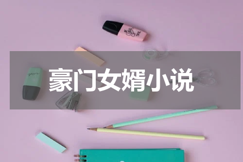 豪门女婿小说