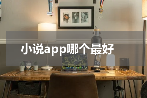 小说app哪个最好