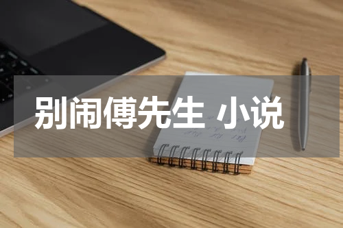 别闹傅先生 小说