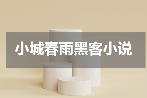 小城春雨黑客小说
