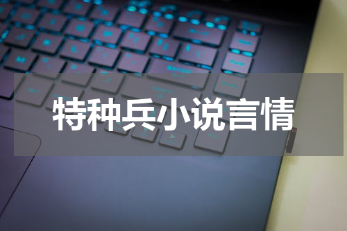 特种兵小说言情