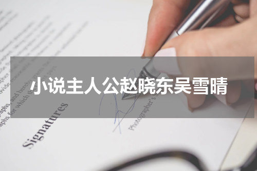 小说主人公赵晓东吴雪晴