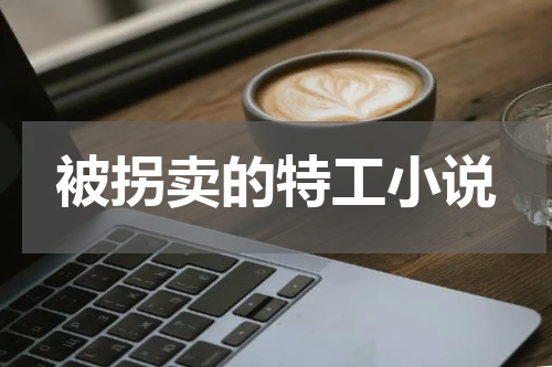 被拐卖的特工小说