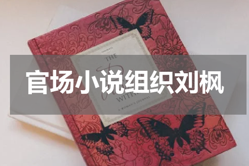 官场小说组织刘枫