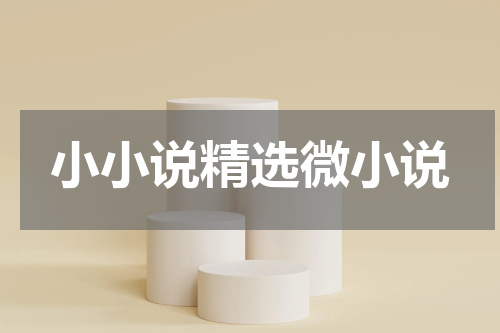 小小说精选微小说
