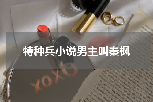 特种兵小说男主叫秦枫