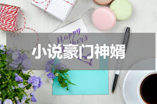 小说豪门神婿